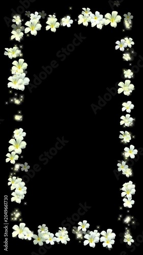 lumeria flower, Frangipani flower, motion graphics background, foreground