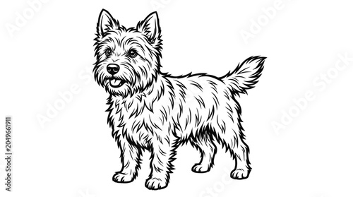 Bild auf Leinwand West Highland White Terrier Dog Illustration - Line Art Drawing