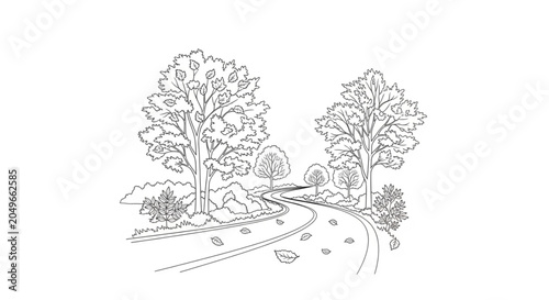Black and white trees on road.