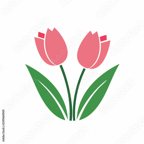 Two Pink Tulips with Green Leaves