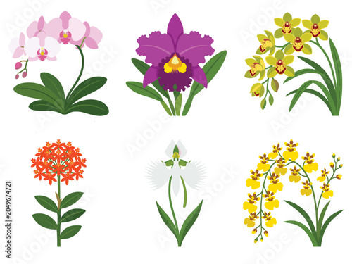 Bild auf Leinwand Tropical Exotic Flowers Edition #37— Phalaenopsis, Cattleya Orchid, Cymbidium Orchid, Oncidium