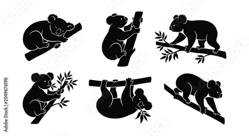 Cuadro en lienzo Koala silhouettes clinging to branches black vector illustration on white backgr