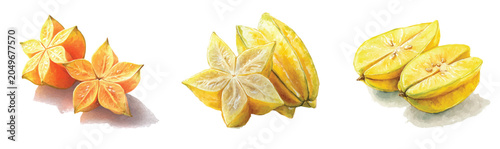 Tableau sur toile Vector illustration set, My Watercolor illustration, set of halved star fruit
