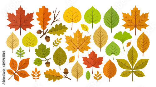 Bild auf Leinwand Autumn Leaves Collection: Maple, Oak, Ginkgo, Horse Chestnut - Fall Season Color