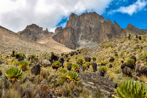Majestic Rocky Peaks and Giant Groundsels in Mount Kenya National Park, Kenya, East Africa