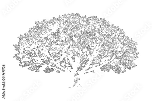 Quadro su tela Detailed sketch of a large spreading oak tree