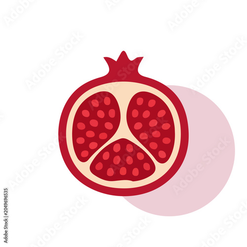 Pomegranate Fruit Sliced Half Vector Illustration Icon