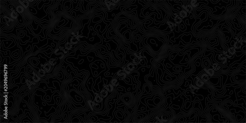 Foto Abstract Topographic Contour Map Pattern With Seamless Black and White Terrain Lines for Backgrounds