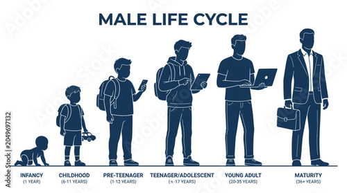 Foto Male Life Cycle Stages: Infancy to Maturity, Growth and Development Infographic