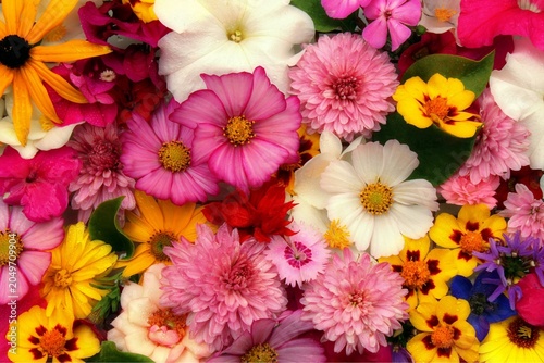 Bild auf Leinwand Vibrant Mixed Flower Bouquet in Full Bloom with Pink and White Petals Close-Up