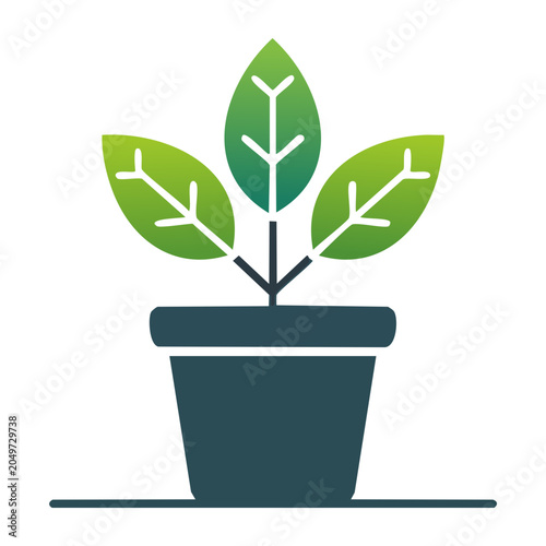 Green plant growing in a dark pot with gradient leaves
