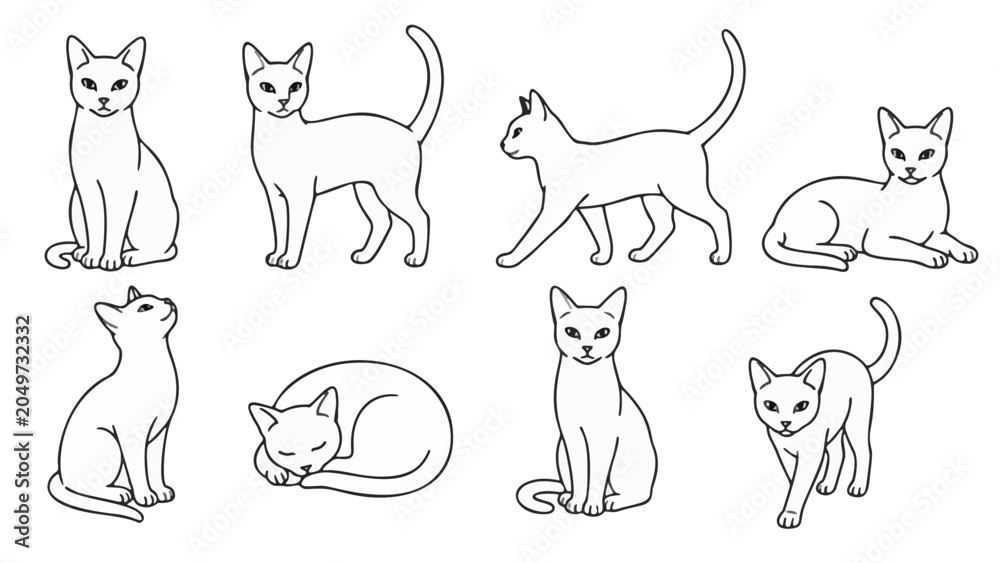 Fototapeta premium Clean vector collection of cat illustration and silhouette isolated on white background.