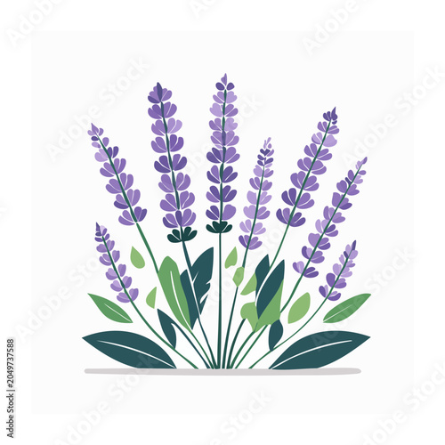 Flat design illustration of purple lavender flowers with green leaves