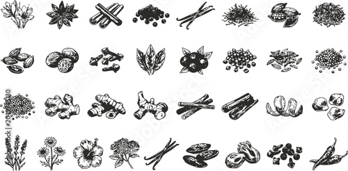 Bild auf Leinwand A collection of botanical spices and herbs in a hand-drawn engraving style with