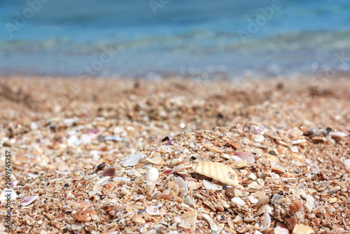 Quadro su tela Close-up of sand with shells against the blurred sea on a sunny summer day, back
