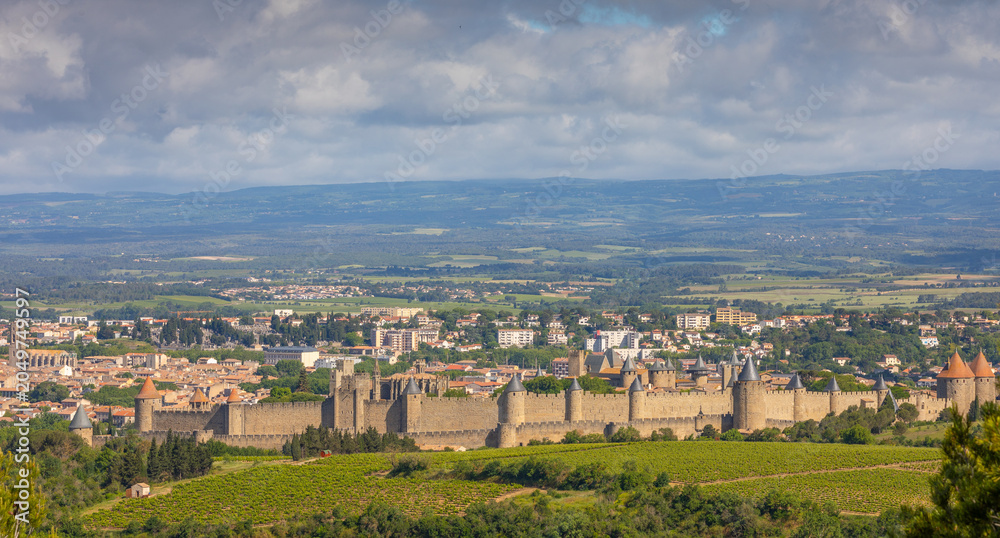 Fototapeta premium La Cité de Carcassonne avec les champs de vigne en avant plan
