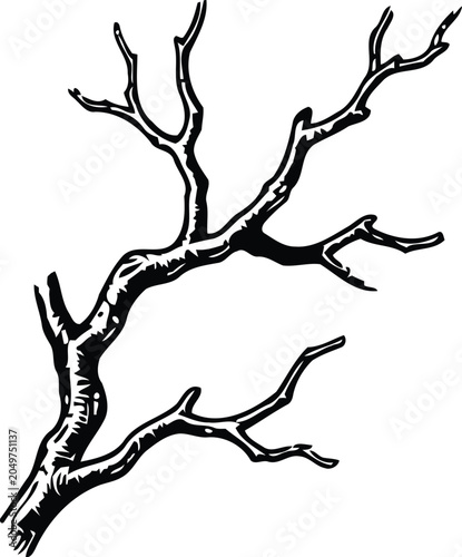 Fotografie A stark bare tree branch with intricate detail rendered in a classic engraving s