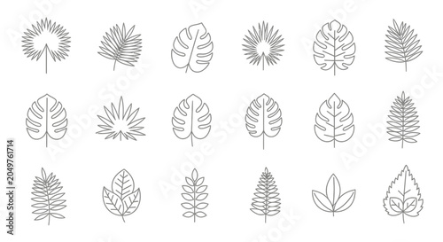 Tableau sur toile Collection of various leaf illustrations.