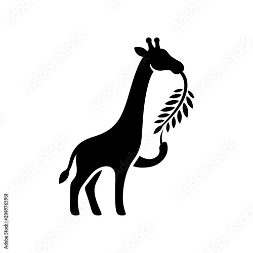 Photos Black silhouette of a giraffe eating.