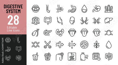 Foto Digestive System Line Editable Icons Set