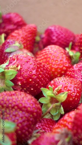 Fresh strawberries in a woman's hands. Fresh organic strawberries, vertical, vertical video.