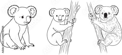 Photography Koala illustrations in three adorable poses