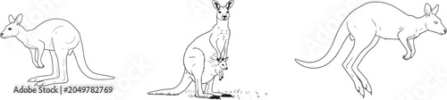 Foto Black and white line drawings of kangaroos