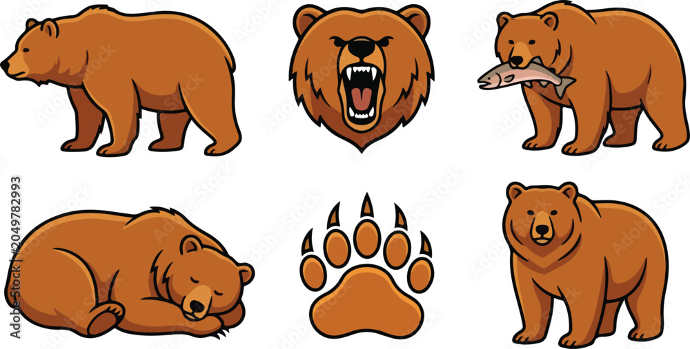 Fototapeta premium Set of brown bear illustrations including sleeping and roaring poses with wildlife, predator