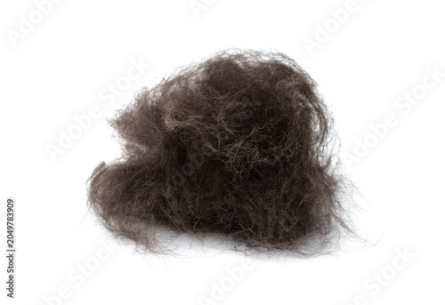 A pile of brushed dark dog hair collected during shedding season, isolated on white background.