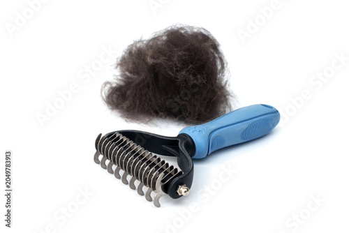 Equipment dematting grooming comb concepts. Pet undercoat rake brush has a blue handle with a pile of loose dark animal fur isolated on white background.
