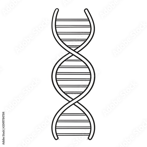 A black and white illustration of a twisted double helix structure