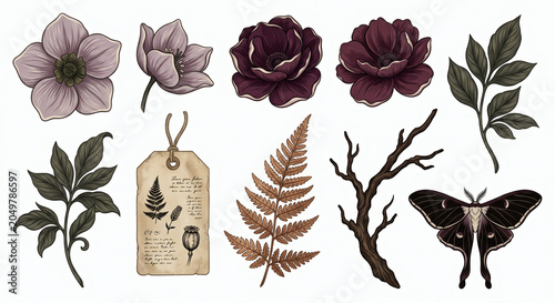 Gothic watercolor botanical clipart set with moody purple flowers, dried fern, moth and vintage kraft tag