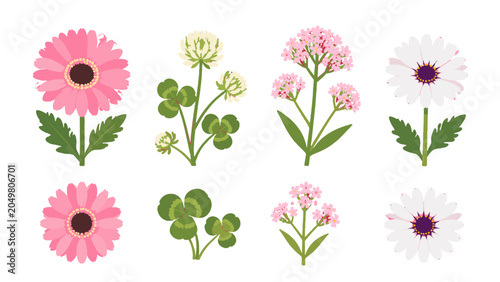 Photos Set of pink and white flowers with clover in flat vector style