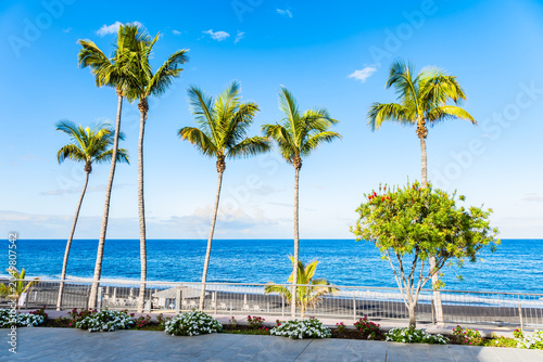 Slender palm trees rise from a decorated floral promenade overlooking a deep blue ocean horizon in Puerto Naos town, La Palma, Canary Islands, Spain