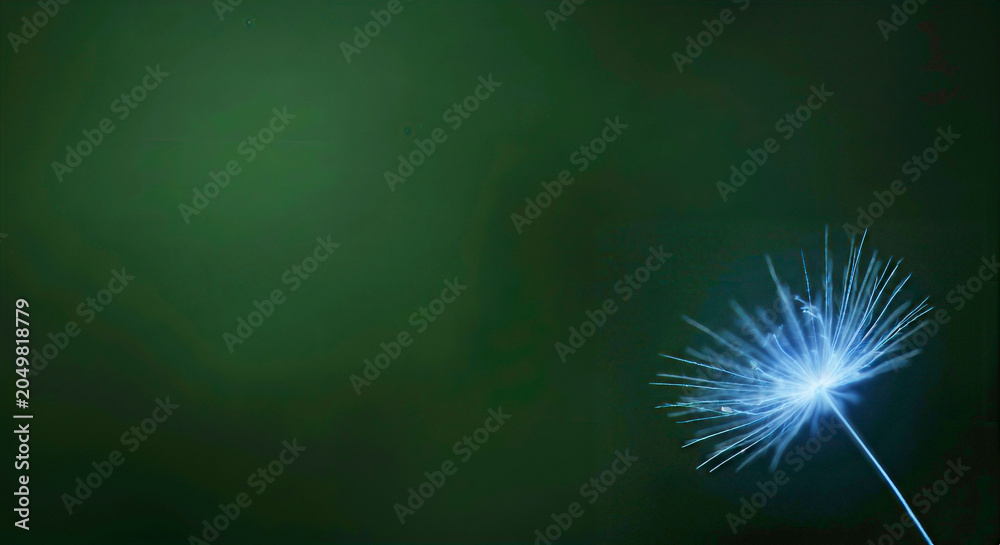Fototapeta premium Glowing Bioluminescent Blue Dandelion Seed on Moody Forest Green Copy Space for Clean Energy Concept