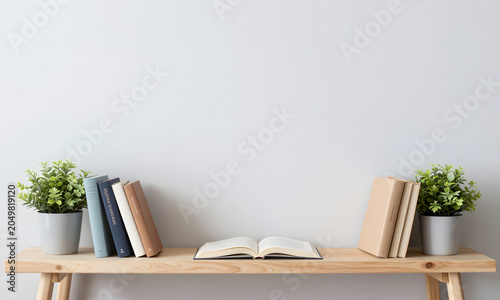Modern Wall Shelves with Plant Pots and Books