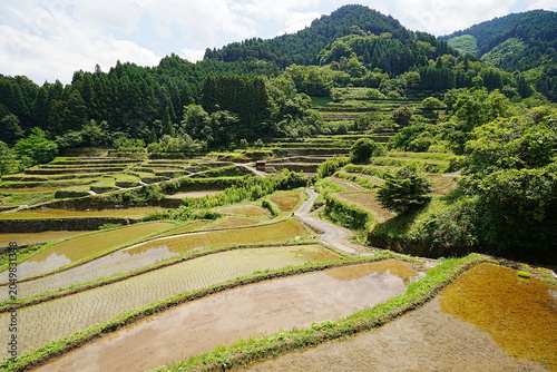 Terraced rice paddies of Hirauchi and Uebaru in Yame, Fukuoka, Japan - Traditional rural landscape - 日本 福岡県 八女市 広内・上原の棚田 日本の美しい農村風景と伝統的な里山の自然