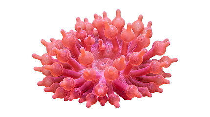 The isolated pink coral reef is thriving in the ocean.