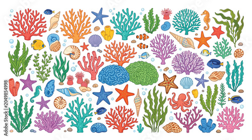 Photography Colorful coral reef collection, underwater sea life vector set with tropical fis