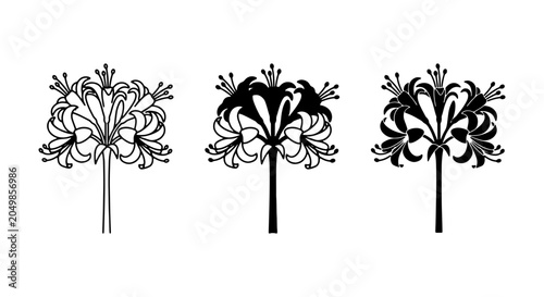 Tableau sur toile Red Spider Lily Vector Icons, Black and White Floral Graphics, Elegant Botanical