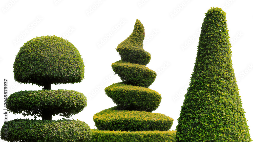 Obraz premium Topiary garden plants in various shapes, isolated on transparent background