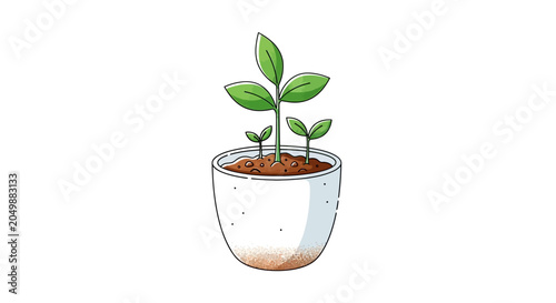 Green sapling plant growing in white ceramic pot