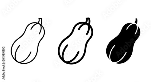 Quadro em tela Butternut Squash Vector Icons, Outline and Silhouette Styles, Healthy Food Graph