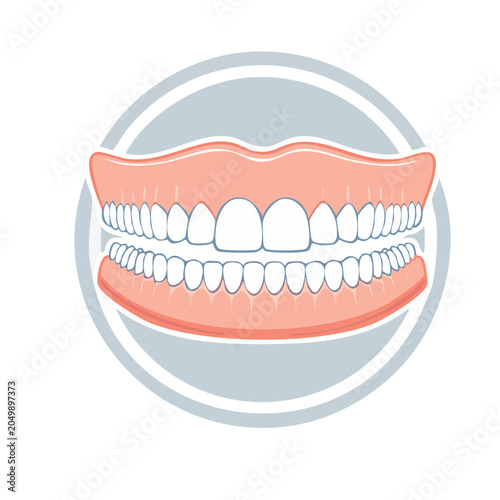Illustration of dentures with pink gums and white teeth