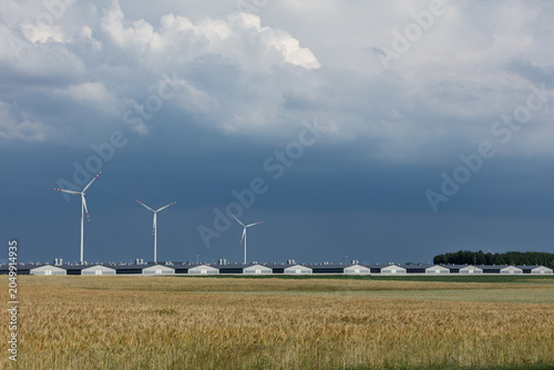 Wind turbines and silos on agricultural field under stormy sky
