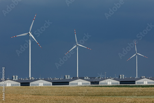 Wind turbines behind rural houses under dark sky