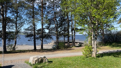Tableau sur toile Lakeside forest scene in Jamtland, Sweden