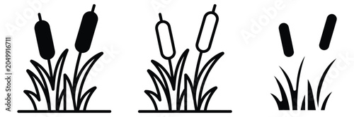 Bild auf Leinwand Set of cattail plant icons in black and white for design and decoration purposes