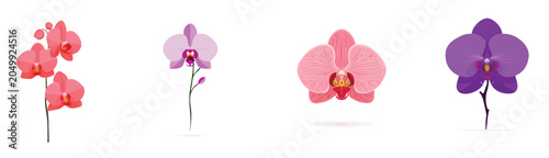 Collection of Realistic orchid flower illustrations set, Clean vector set ideal for packaging, label, and product design, Vector illustration of vector design, A Realistic simple illustration