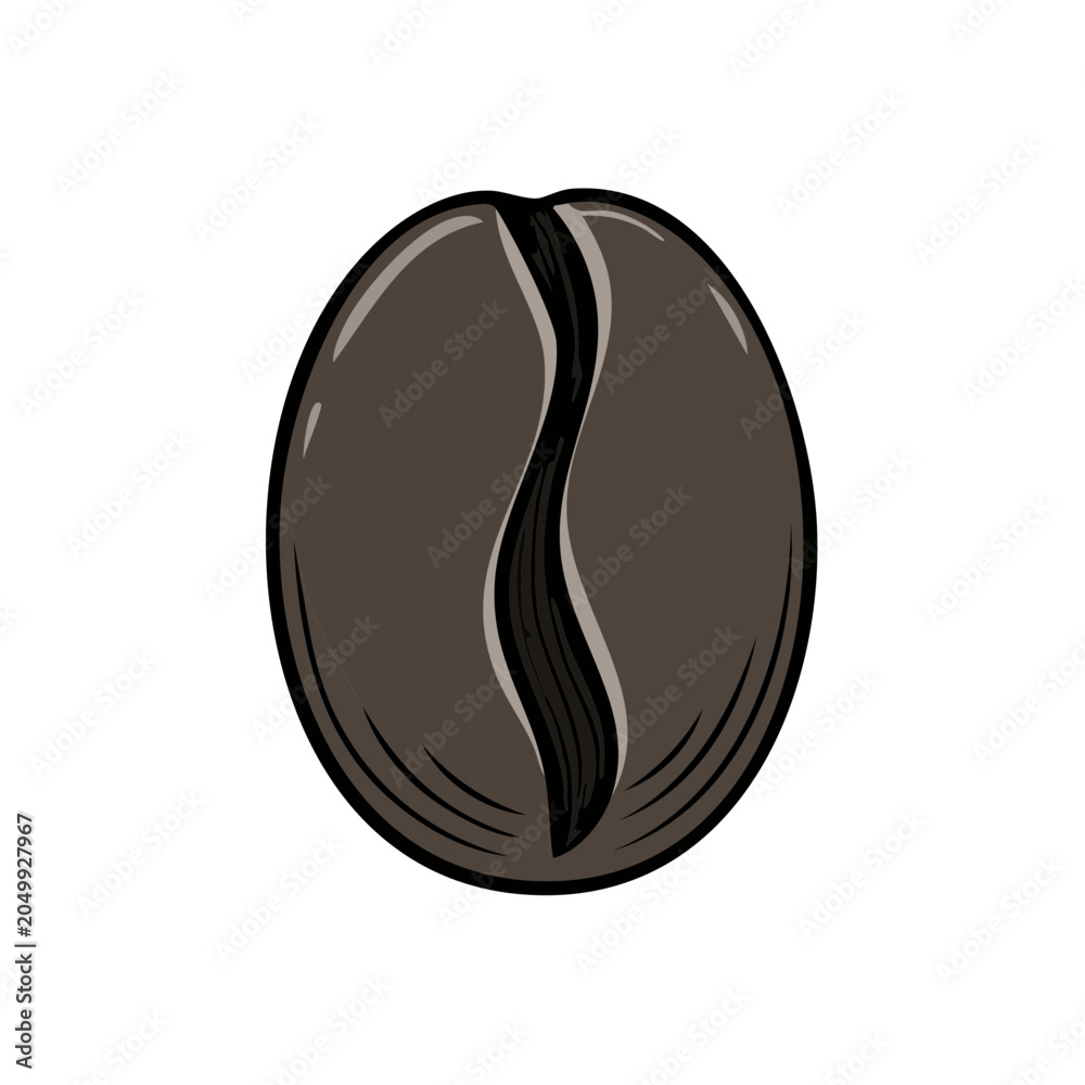 Fototapeta premium Single Dark Roasted Coffee Bean with a Distinctive Central Crease Detailed Illustration